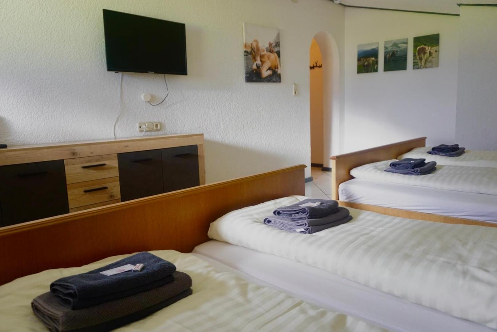 Neukirchen am Großvenediger Hotel Wildrose מראה חיצוני תמונה